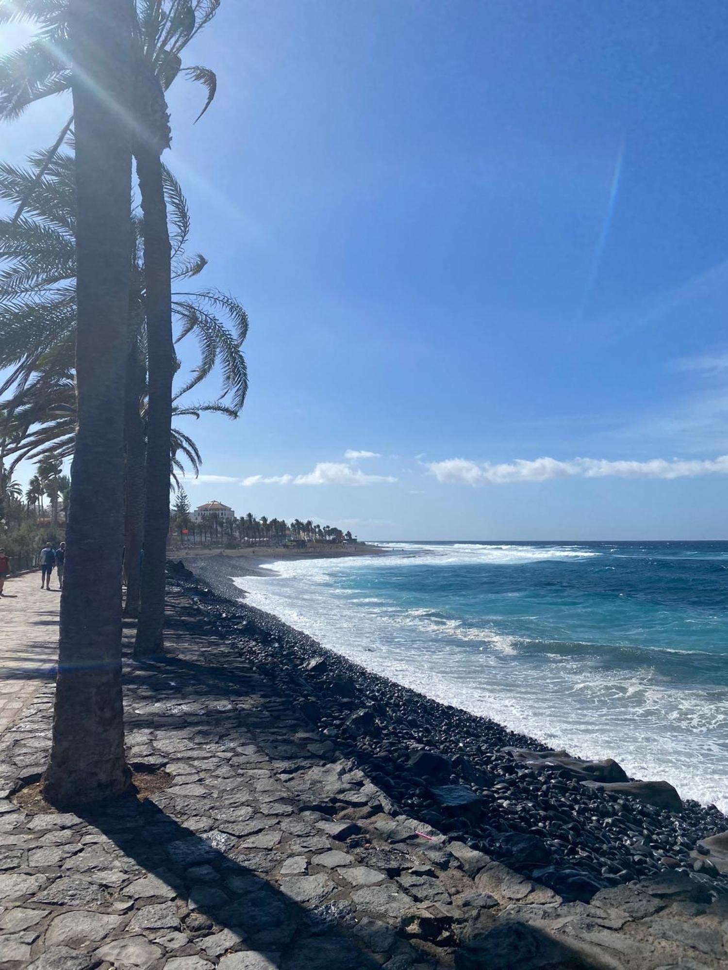 Sea View Terrace In Las Americas Playa Feñabe المظهر الخارجي الصورة